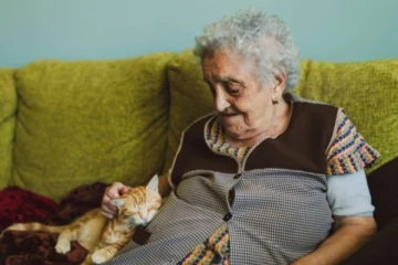 மின் கட்டணத்தை சேமிக்க பிரித்தானிய நிறுவனத்தின் புதுமையான யோசனைகள்!