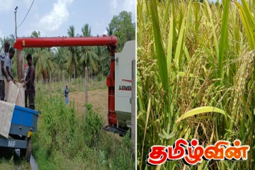 கிளிநொச்சியில் ஆரம்பிக்கப்பட்டுள்ள சிறுபோக அறுவடை.. விவசாயிகள் முன்வைக்கும் கோரிக்கை