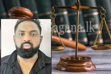 හරක් කටා ට මහාධිකරණයයෙන් අද ලැබුණු නියෝගය.