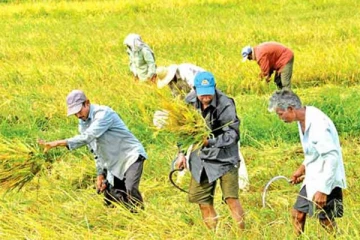 சிறுபோக செய்கைகளுக்குரிய பங்குகளை வழங்கும் அதிகாரம் எதுவும் இல்லை: எஸ்.செந்தில்குமரன்