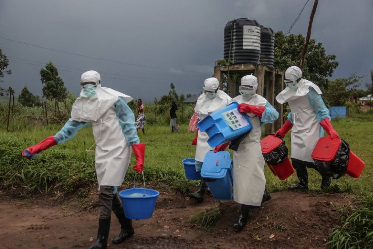கொங்கோவில் எபோலா தொற்றாளர்களின் எண்ணிக்கை அதிகரிப்பு | Number Of Ebola Cases In Congo Has Exceeded 8 000 கொங்கோவில் எபோலா தொற்றாளர்களின் எண்ணிக்கை அதிகரிப்பு | Number Of Ebola Cases In Congo Has Exceeded 8 000