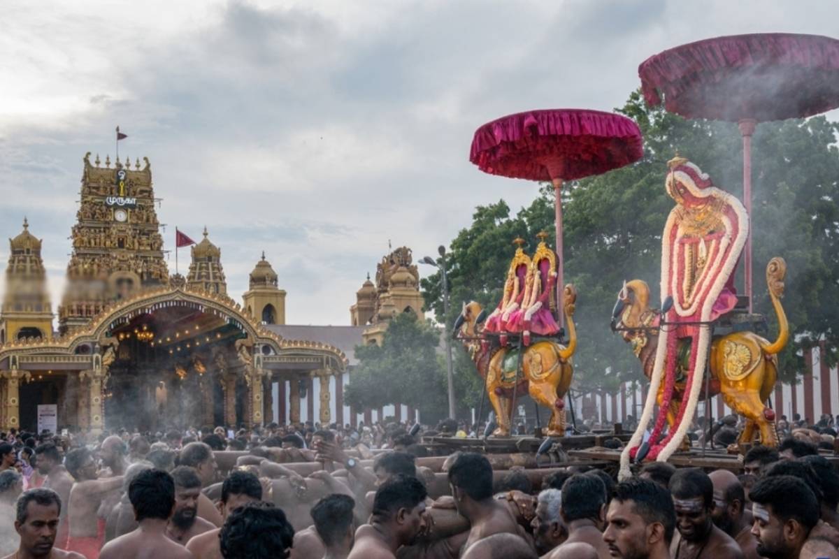 மகர வாகனத்தில் அருட்காட்சி அளித்த நல்லூர் கந்தன் ; நாளை மஞ்சத் திருவிழா | Nallur Kandan Performed Auspicious Makara Vahana
