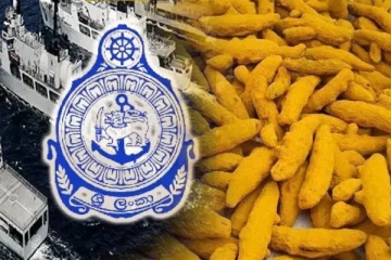 சட்டவிரோதமாக நாட்டிற்கு கொண்டு வரப்பட்ட மஞ்சள் தொகை மீட்பு