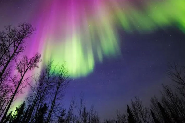 அடுத்து நடக்க போகும் சம்பவம்: அதிர்ச்சி கொடுத்த பாபா வங்காவின் கணிப்பு | Baba Vanga Sensational Predictions For 2025 அடுத்து நடக்க போகும் சம்பவம்: அதிர்ச்சி கொடுத்த பாபா வங்காவின் கணிப்பு | Baba Vanga Sensational Predictions For 2025