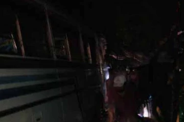 தனியார் பயணிகள் பேருந்து மீது வீழந்த மரம்! மூவருக்கு நேர்ந்த விபரீதம்