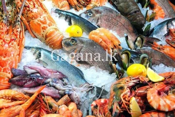 මාළු ගන්න යනවා නම් මේකත් බලලම යන්න.- මාළු මිලෙත් සීඝ්‍ර වෙනසක්. - නව මිල ගණන් මෙන්න.