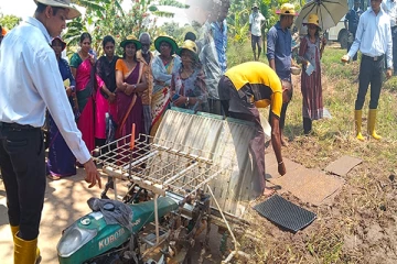 கிளிநொச்சியில் இயந்திரம் மூலம் நாற்று நடுகை செயல்முறை