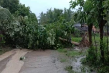 கிளிநொச்சி மாவட்டத்தில் தொடர் மழை காரணமாக 407 குடும்பங்கள் பாதிப்பு!