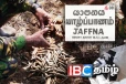 யாழில் அதிரடி படையினர் மீட்ட பெருந்தொகை வெடிபொருட்கள்