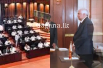 දේශපාලන කරලිය පුදුම කරමින්, ජනපති අතින් අමාත්‍යධූර 2ක් දෙන්නෙක්ට..