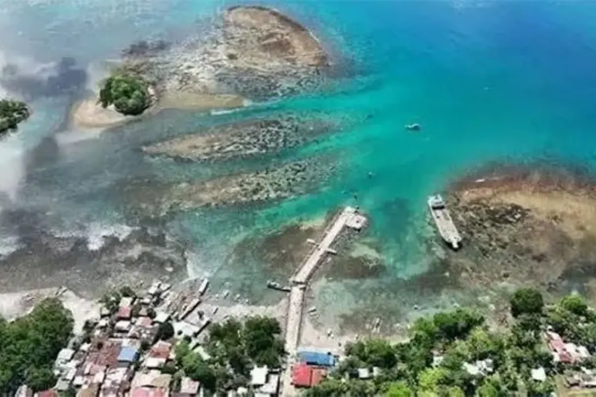 பிலிப்பைன்ஸில் 2 மீற்றரால் உயர்ந்த கடல்மட்டம் | Philippine Quake Raised Seabed