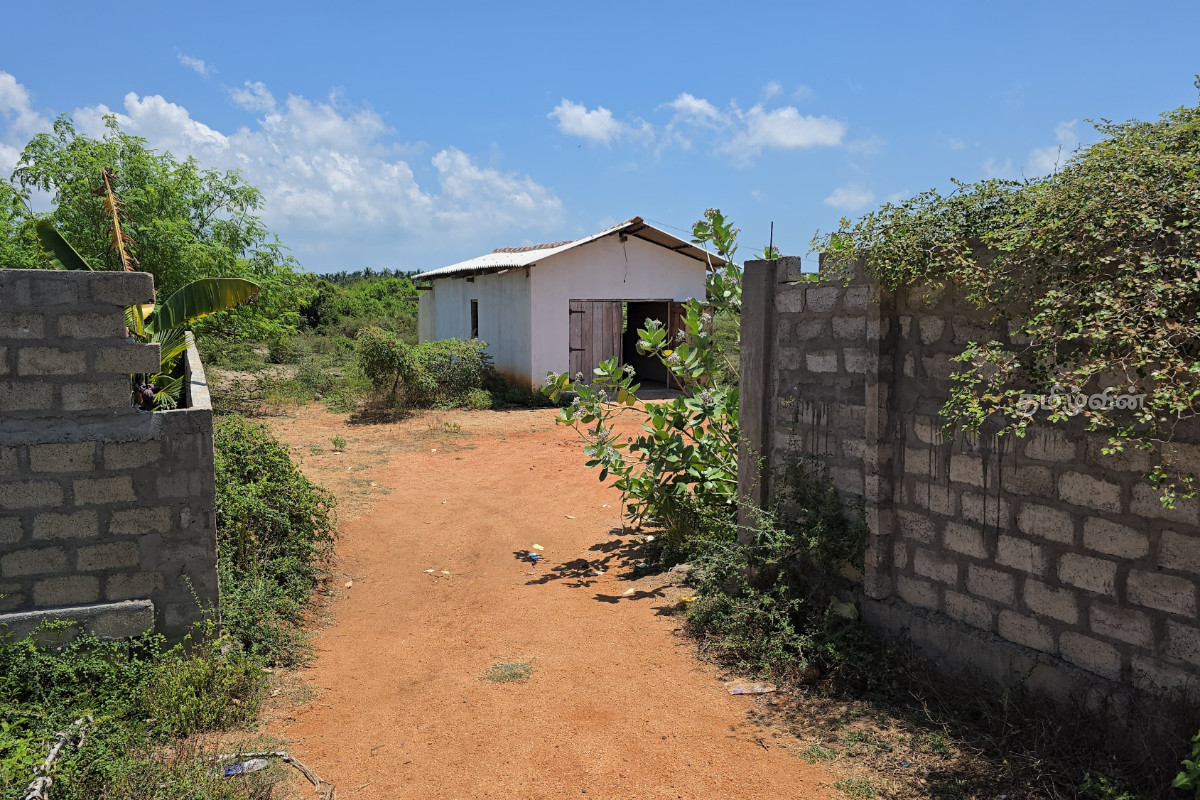 வீதியில் வீசப்படும் மனித உடல் பாகங்கள்! மன்னார் நகரசபை தவிசாளர் அதிரடி நடவடிக்கை | Human Body Parts Thrown On The Street