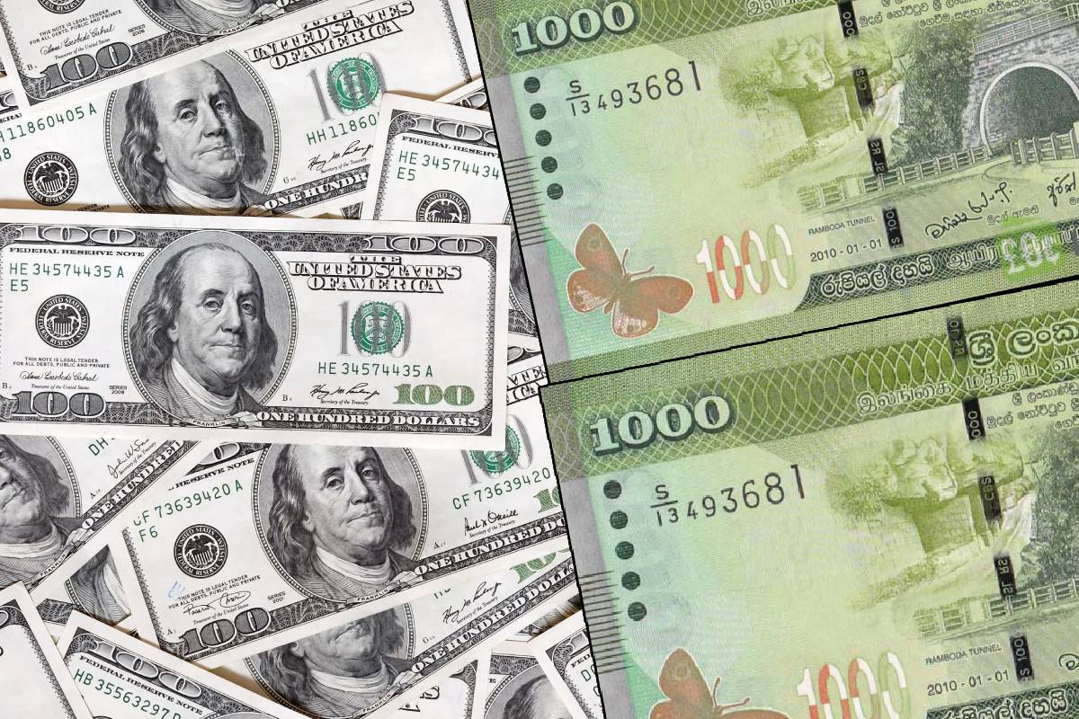 அமெரிக்க டொலரின் பெறுமதியில் இன்று ஏற்பட்ட மாற்றம் | Dollar Rate In Sri Lanka Banks Today Usd To Lkr