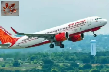 அமெரிக்காவிலிருந்து வந்த விமானத்தில் கரப்பான் பூச்சிகள்: ஏர் இந்தியா மன்னிப்பு