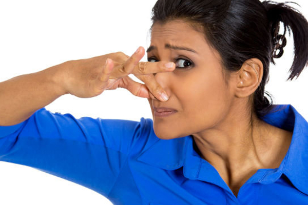 இது எல்லாம் ஒரு வேலையா? நல்ல வேலை இங்க இல்லை!...  லட்ச கணக்கில் சம்பளம் வேறையா? | Different Types Of Jobs