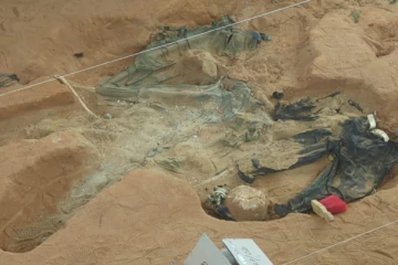 கொக்குத் தொடுவாய் மனித புதைகுழி சான்று பொருட்களை அடையாளம் காண உதவுங்கள் ; OMP பணிப்பாளர் கோரிக்கை