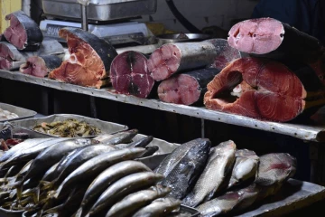 බාල ගල් අඟුරු හින්දම මාළු කෑමත් අවදානම්