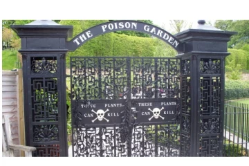 தொட்டால், நுகர்ந்தால் 20 நிமிடத்தில் மரணம்தான்... - அச்சுறுத்தும் இங்கிலாந்து The Poison Garden - ஆச்சரியத் தகவல்