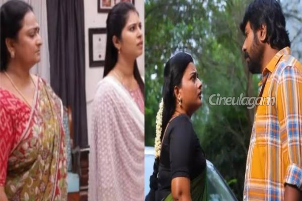 திடீரென தற்கொலை செய்துகொண்ட சிறகடிக்க ஆசை சீரியல் நடிகை... பரபரப்பு தகவல் | Siragadikka Aasai Serial Actress Died By Suicide