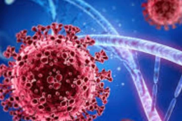 කොරෝනා වයිරසය ආවේනික වෙයි