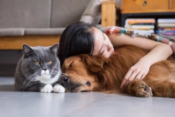 நாட்டில் விலங்குகளுக்கும் ஆபத்து ; வைத்தியர்கள் விடுத்துள்ள எச்சரிக்கை