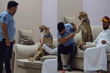 உரிமையாளரை திடீரென சீண்டிய சிறுத்தை... இணையத்தில் வைரலாகும் வீடியோ!