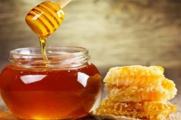 நோய் எதிர்ப்பு சக்தி தாறுமாறாக அதிகரிக்க வேண்டுமா? தேனுடன் இதை மட்டும் எடுத்துக்கோங்க