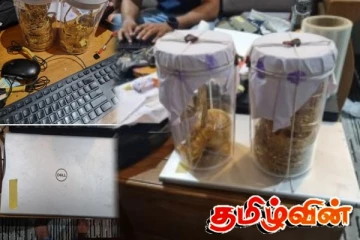 சர்வதேச விசா மோசடியில் ஈடுபட்ட நபர் பெருந்தொகை பணம், நகைகளுடன் கைது