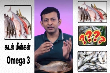 கடல் மீன் vs ஆற்று மீன் vs பண்ணை மீன்... எது சிறந்ததுன்னு தெரியுமா? மருத்துவர் விளக்கம்