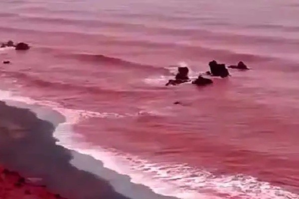 ஈரானில் ரத்த மழையா? சிவப்பு நிறமாக மாறிய கடல் - என்ன காரணம்? | Iran Hormuz Island Sea Glows Blood Red After Rain ஈரானில் ரத்த மழையா? சிவப்பு நிறமாக மாறிய கடல் - என்ன காரணம்? | Iran Hormuz Island Sea Glows Blood Red After Rain