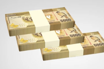 இலங்கைக்கு வெளிநாடுகளிலிருந்து உண்டியல் மூலம் அனுப்பப்படும் பணம் தொடர்பில் வெளியான தகவல்