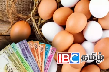 முட்டை விலை தொடர்பில் வெளியான தகவல்!