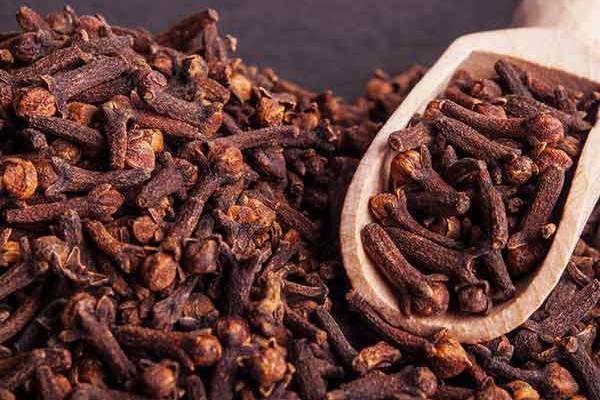 உங்க பிறந்த கிகதி இதுவா? அப்போ 31 திகதி இதை செய்ங்க... 2026 சிறப்பாகும் | Ur Birthday Date Do This On 31St 2026 Will Special