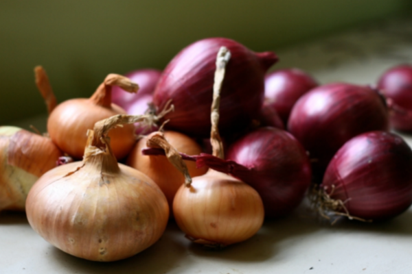 இறைச்சியை மிஞ்சும் வெங்காயம்; ஒரு கிலோ ரூ.1000 - மக்கள் அதிர்ச்சி! | Onion Price In Philippines Now It Costs Is High