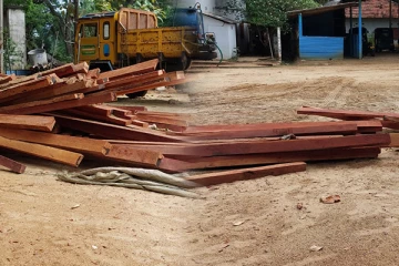 யாழில் மறைத்துவைக்கப்பட்டிருந்த பாலை மரக் குற்றிகள் மீட்பு