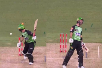 தொடர் தோல்வியால் வெளியேறிய அணி! விரக்தியால் கத்திய மேக்ஸ்வெல் (வீடியோ)