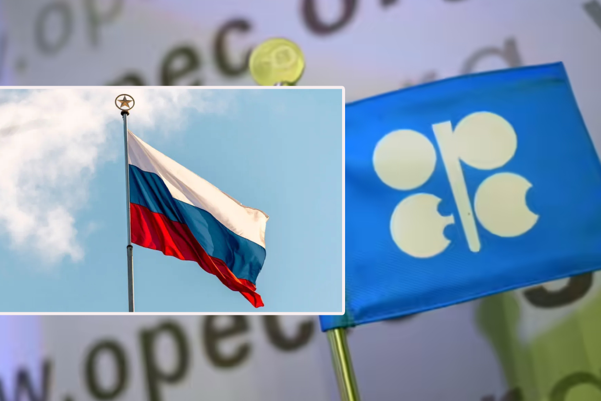 ஒபெக் அமைப்பிலிருந்து வெளியேறபோகும் ஐக்கிய அரபு அமீரகம்! | Uae Is About To Leave Opec Fuel Iran Us War