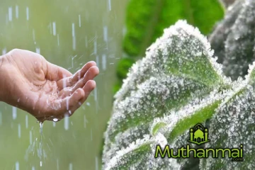 இன்றைய நாளுக்கான வானிலை மாற்றம்