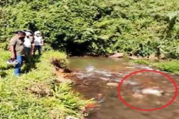 ஹட்டனில் நீரோடையில் அடையாளம் தெரியாத பெண்ணின் சடலம்