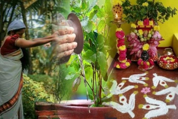 உங்கள் வீட்டில் துளசி செடி இருக்கா? கட்டாயம் இதை தெரிந்து கொள்ளுங்கள்