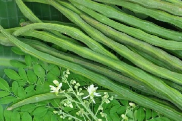 யாழ்ப்பாணத்தில் 3000 ரூபாவை தொட்ட முருங்கக்காய் விலை