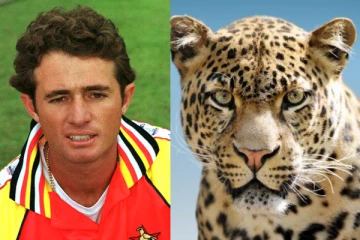 சிறுத்தைப்புலியால் தாக்கப்பட்ட முன்னாள் கிரிக்கெட் வீரர்., தப்பிக்க உதவிய வளர்ப்பு நாய்