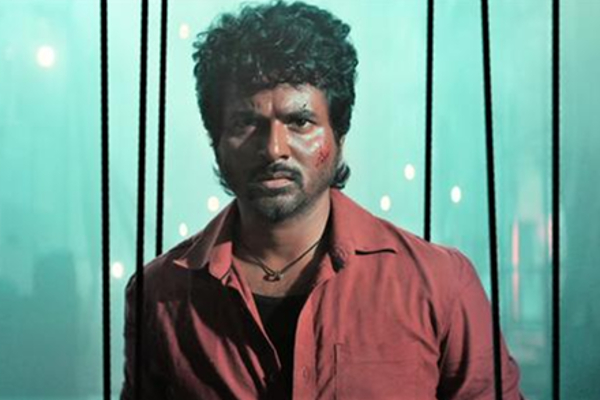 மாவீரன் படத்தில் சிவகார்த்திகேயனுக்கு தங்கையாக நடிக்கும் விஜய் டிவி பிரபலம்.. யார் தெரியுமா