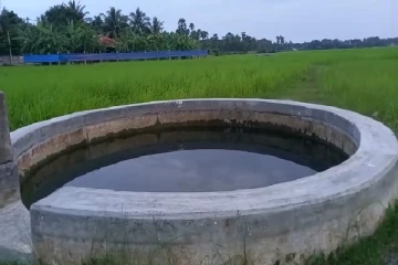 யாழில் வயல் கிணற்றில் நீந்திய மாணவனுக்கு நேர்ந்த துயரம் - கிராமமே சோகத்தில்