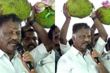 அம்மாவின் ஆசியுடன் முதல்வராக இருந்த என்னை...தலையில் பலாப்பழம் சுமந்தபடி ஓபிஎஸ் பேச்சு!