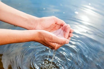 ஒரு சொட்டு தண்ணீர் கூட குடிக்காத உயிரினம் எது தெரியுமா?