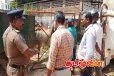 கல்முனையில் கட்டாக்காலி மாடுகளுக்கு தண்டப்பணம் அறவீடு