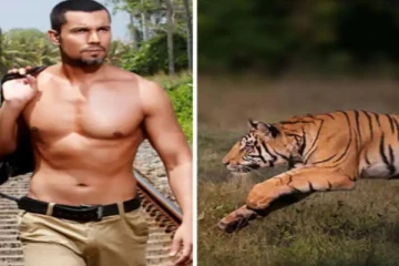 “புலி உறுமுது புலி உறுமுது..நிக்காம ஓடு ஓடு” - பிரபலம் வெளியிட்ட திகிலூட்டும் வீடியோ பதிவு