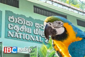 தெகிவளை மிருககாட்சிச்சாலையில் பெறுமதியான கிளி திருட்டு