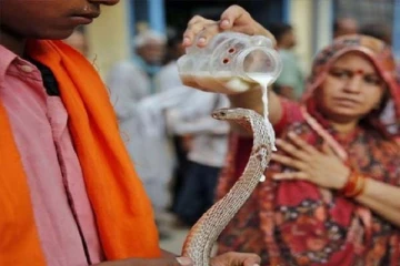 இன்று நாக பஞ்சமி... பாம்பிற்கு பால் ஊற்றி வணங்காதீங்க